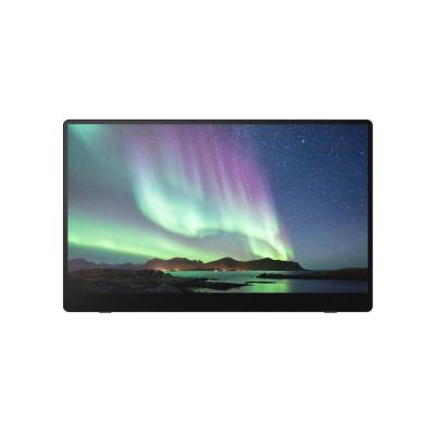 RICOH MONITOR PORTATILE RICOH 150BW WIFI