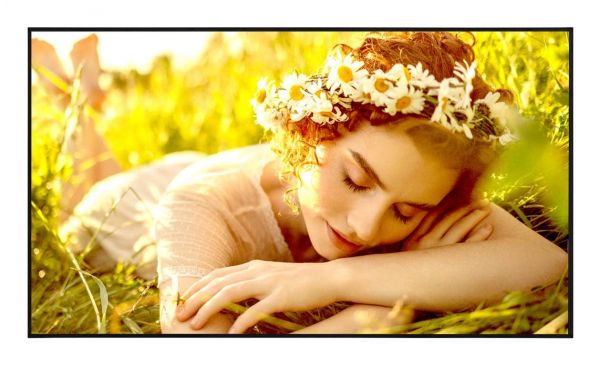 LG ELECTRONICS 55 LED ADS, 3840X2160, 16:9, 500 NIT, 1200:1