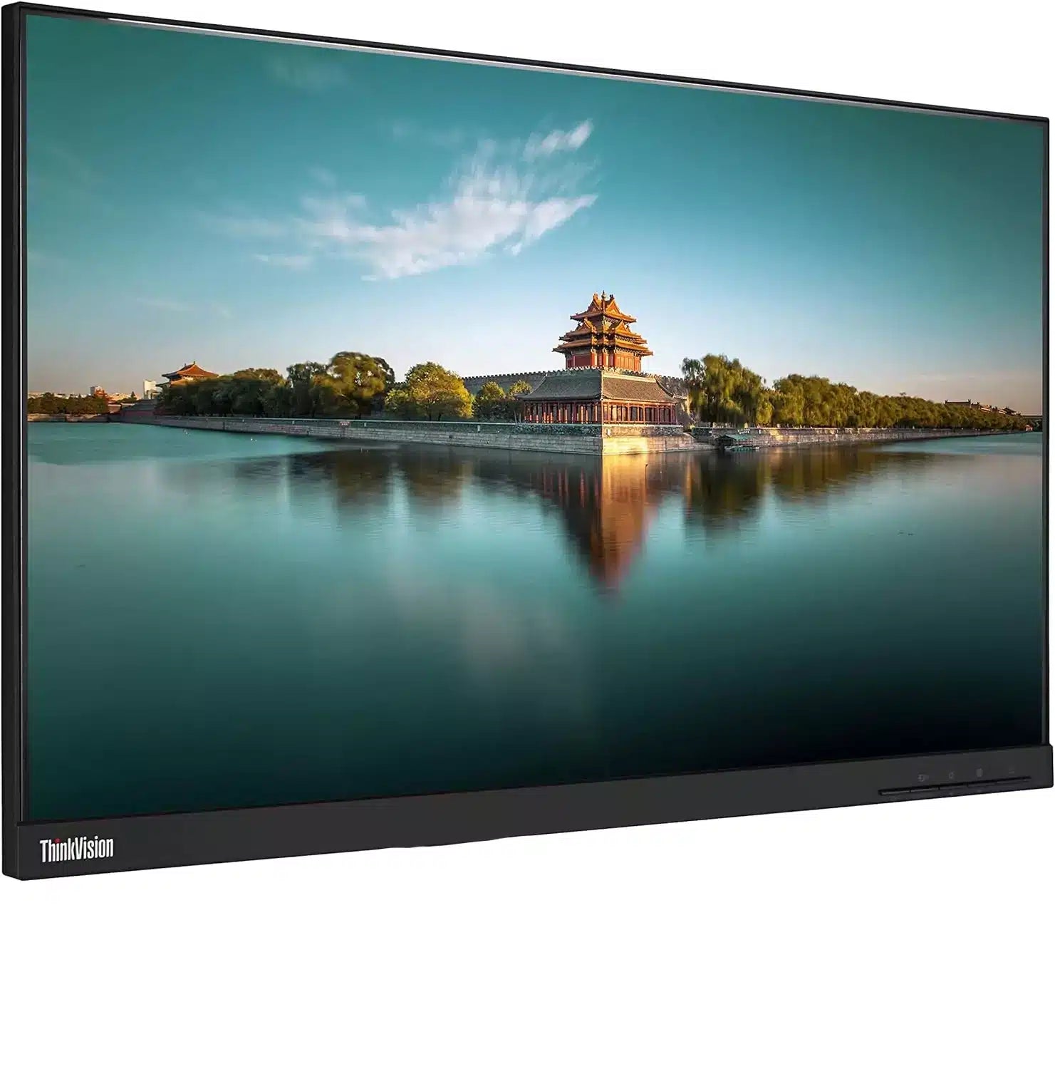 Lenovo ThinkVision T24i 24" FullHD Dual Monitor Bundle with Adjustable Arm Stand VGA HDMI Display Port - Efficiency and Visual Comfort