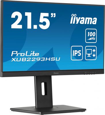 IIYAMA 21,5 FHD IPS regolabile in altezza 1920x1080