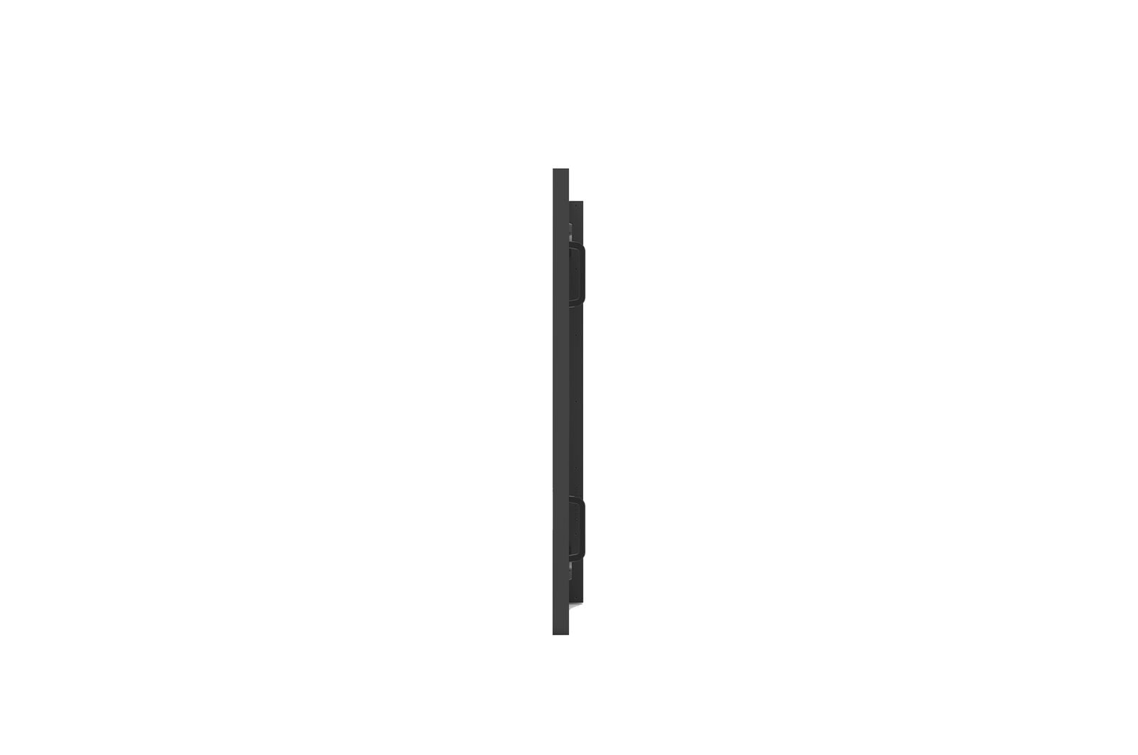 LG ELECTRONICS 110 LED IPS, 3840X2160, 16:9, 500 NIT