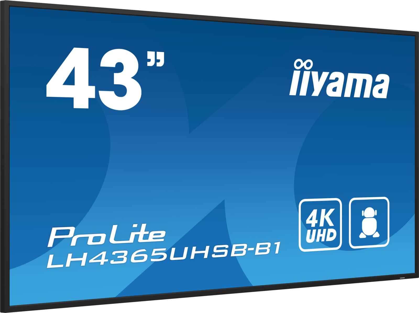 IIYAMA 43 3840x2160, UHD IPS panel