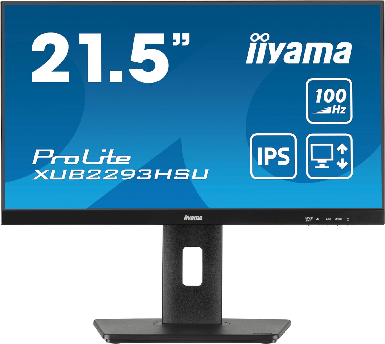 IIYAMA 21,5 FHD IPS regolabile in altezza 1920x1080
