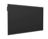 Optoma INTERAKTIVES DISPLAY CREATIVE TOUCH SERIE 5, 75 ZOLL