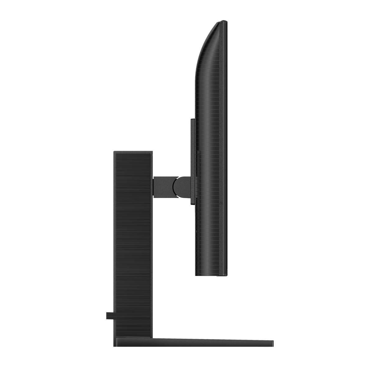 E-LINE [IMAGE 3]