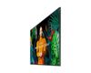 SAMSUNG MONITOR SAMSUNG QB43C 43