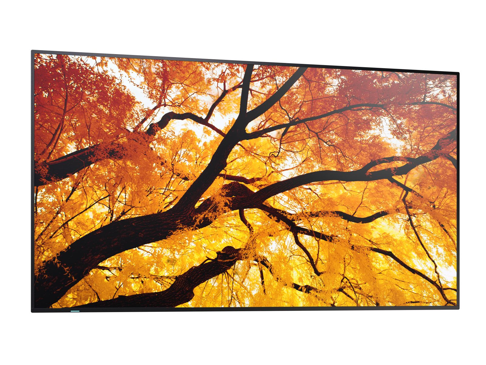 SHARP MultiSync M982