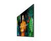 SAMSUNG MONITOR SAMSUNG PANEL VA 50 QM50C