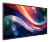 PHILIPS MONITOR 55