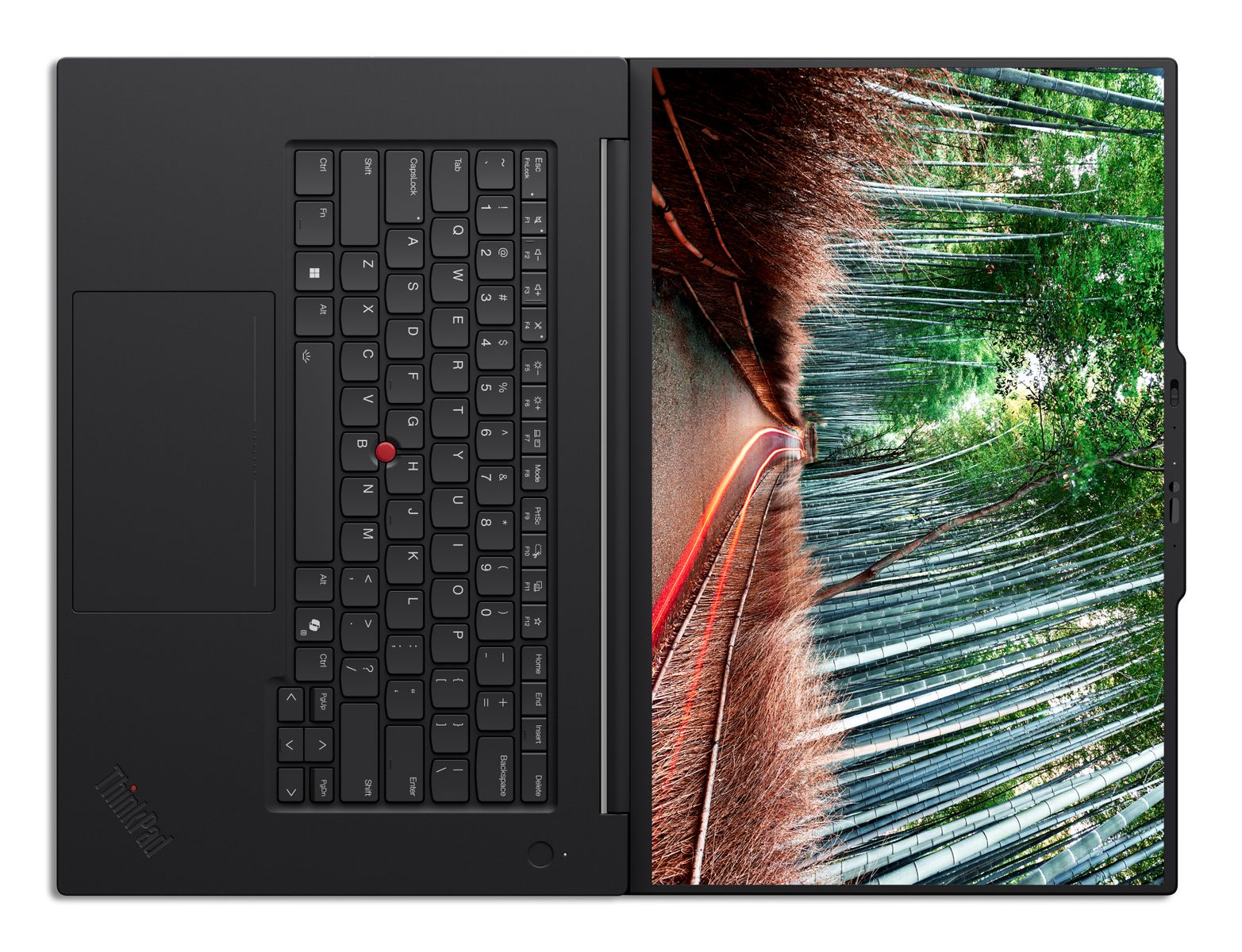 LENOVO TS P1 ULT7-255H 32G 1TB RTXPR1000 16WUXGA W11P 3YP