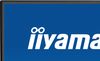IIYAMA 27 Business FHD IPS Green Choice