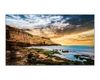 Samsung MONITOR SAMSUNG 65 QE65T UHD 16/7