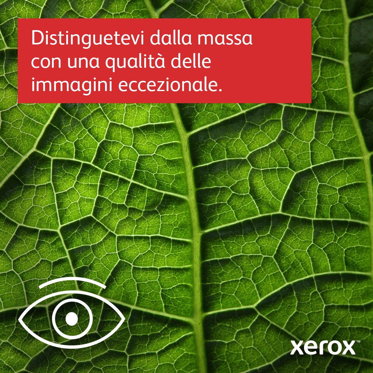 XEROX XEROX VERSALINK C7000 A3 35 PPM STAMPANTE Color